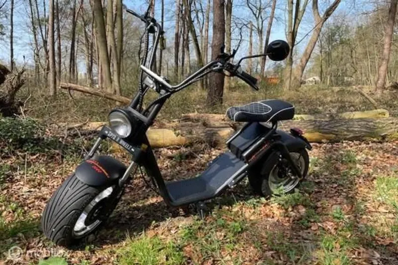 Spyder Wheelz Snorscooter E-Chopper 2.3 12Ah (2021)