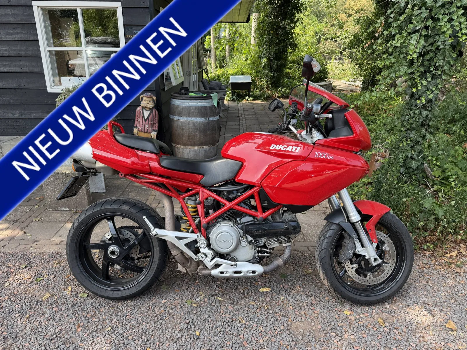 Ducati Multistrada 1000 (2003) — foto 1