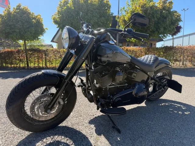 Harley-Davidson Softail (2009) — foto 1