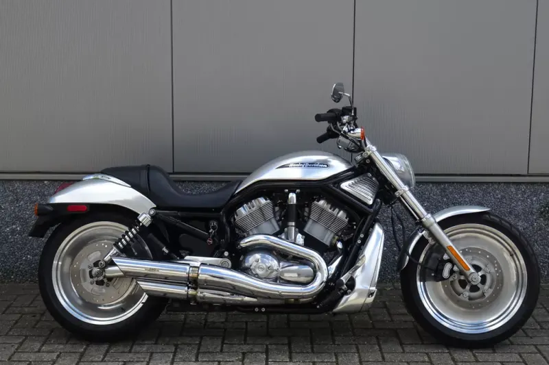 Harley-Davidson Vrscb V ROD (2004)