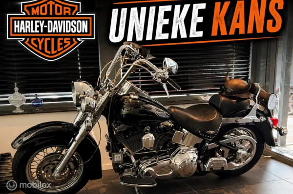 Harley-Davidson 88 FLSTC Heritage Softail (2002) — foto 1