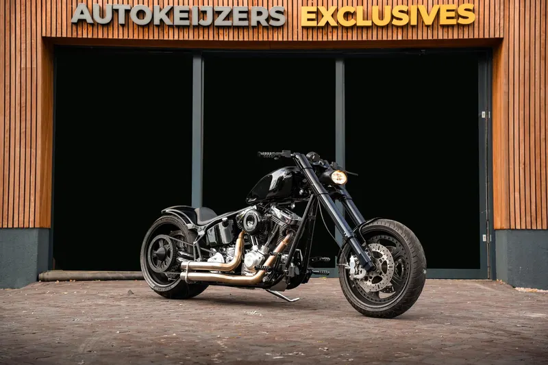 Harley-Davidson Big twin shp elsdorf (2002)