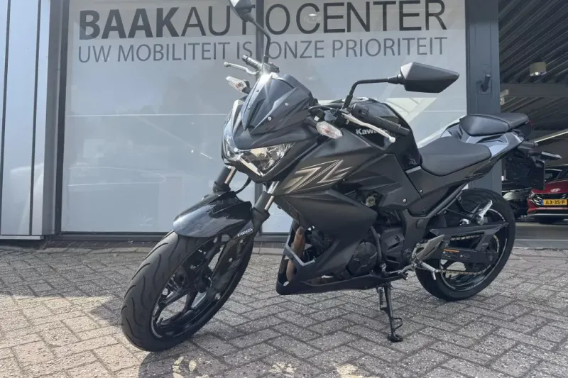 Kawasaki Z300 Tour ABS (2016)