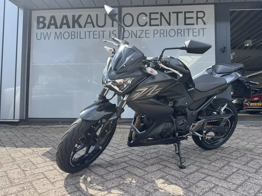 Kawasaki Z300 Tour ABS (2016) — foto 1