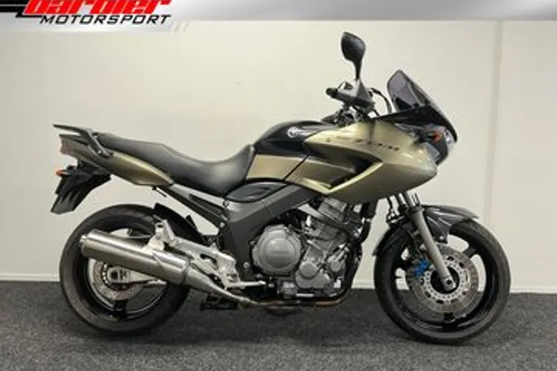 Yamaha TDM 900 (2008)