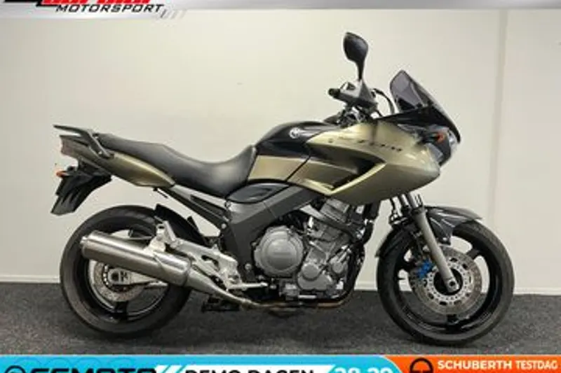 Yamaha TDM 900 (2008)