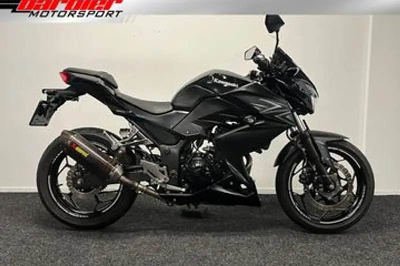 Kawasaki Z300 (2016)