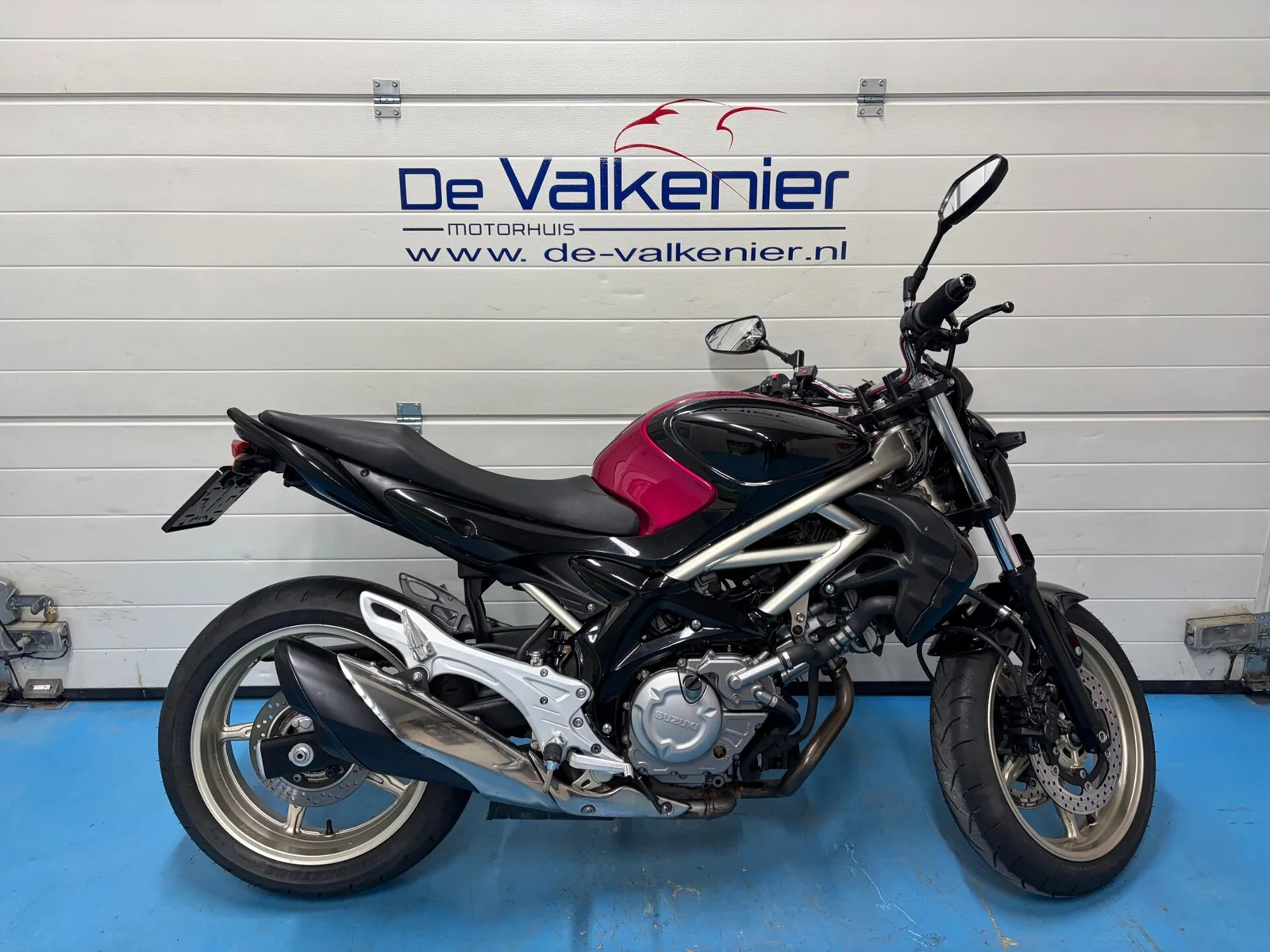 Suzuki Gladius 650 (2009) — foto 1