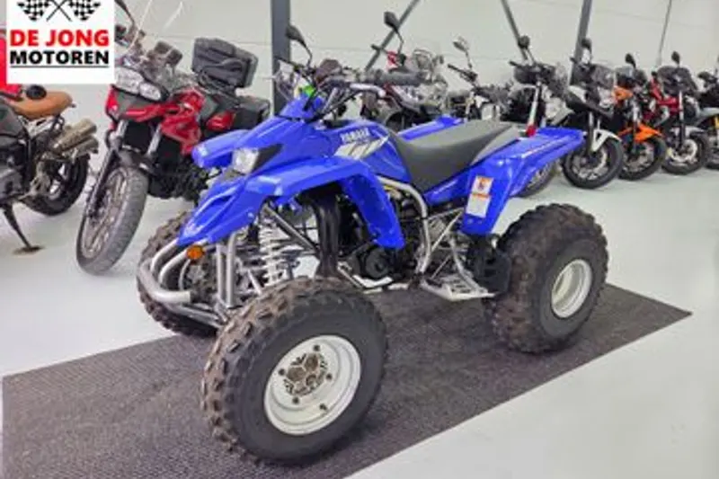 Yamaha YFS 200 Blaster (2004)
