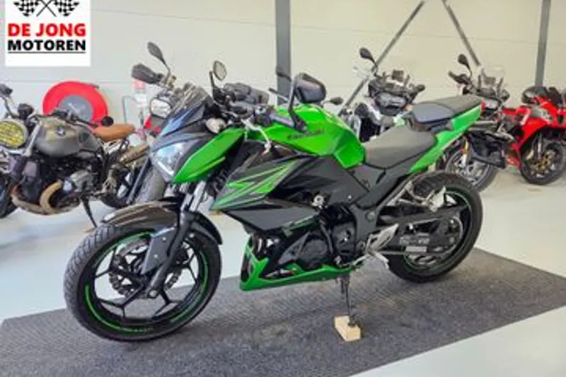 Kawasaki Z300 Performance (2016)