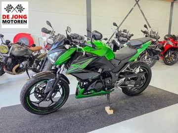 Kawasaki Z300 Performance (2016) — foto 1