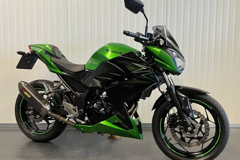Kawasaki Z300 ABS PERFORMANCE Z300 (2017)