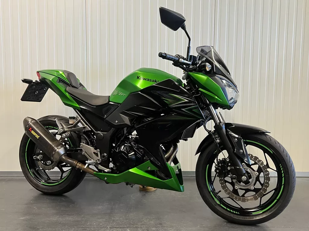 Kawasaki Z300 ABS PERFORMANCE Z300 (2017) — foto 1