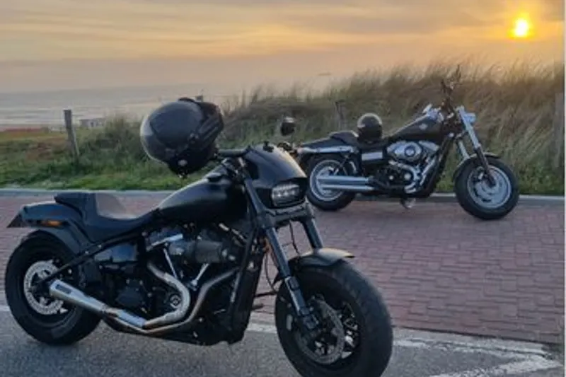 Harley-Davidson Fatbob 114 Fxfbs (2019)