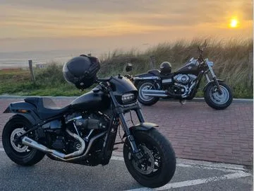 Harley-Davidson Fatbob 114 Fxfbs (2019) — foto 1