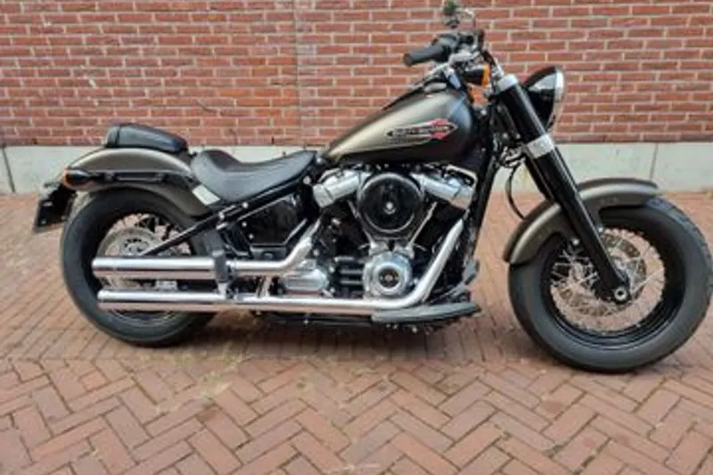 Harley-Davidson Softail Slim Flsl Bj. 2021 (2021)