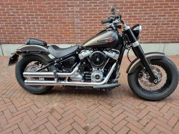 Harley-Davidson Softail Slim Flsl Bj. 2021 (2021) — foto 1