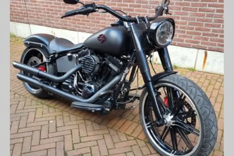 Harley-Davidson Softail Slim S Flss (2016)