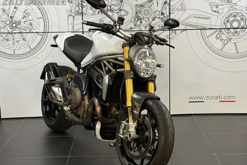 Ducati MONSTER (2014)