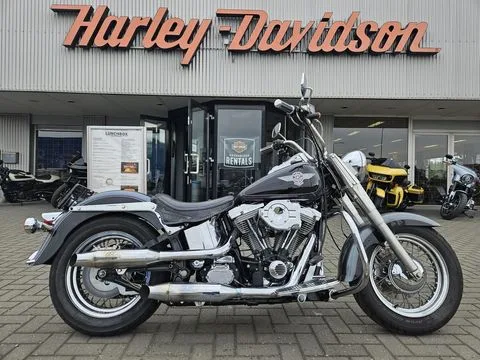 Harley-Davidson Heritage Special (1995) — foto 1