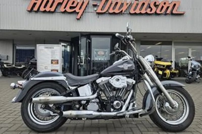 Harley-Davidson Heritage Special (1995)