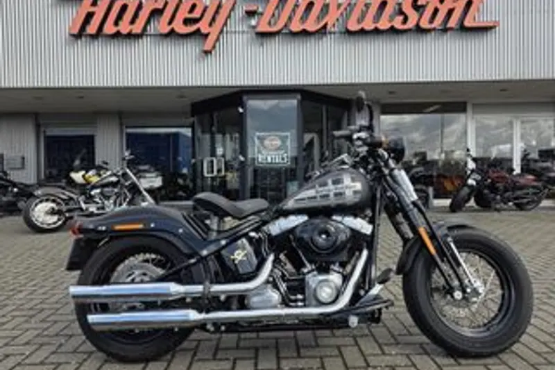 Harley-Davidson Cross Bones (2009)