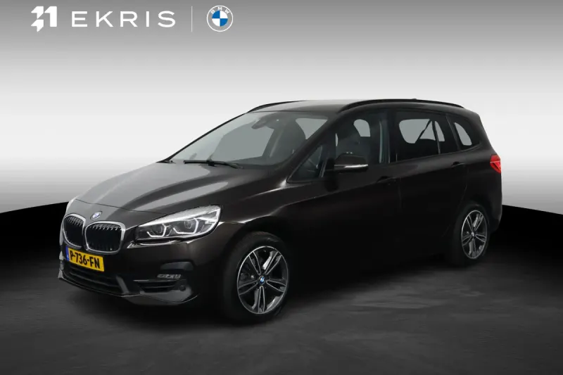 BMW 2 Serie 216i Executive (2019)