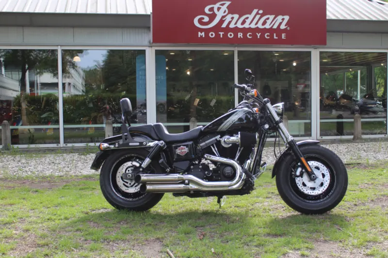 DS Dyna Fat Bob (2015)