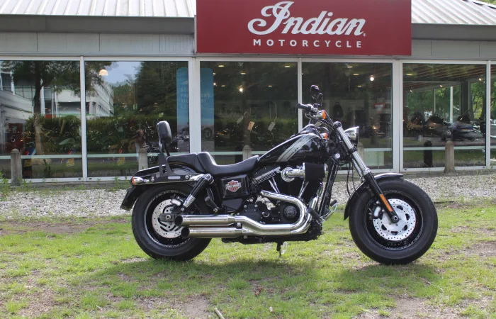DS Dyna Fat Bob (2015) — foto 1