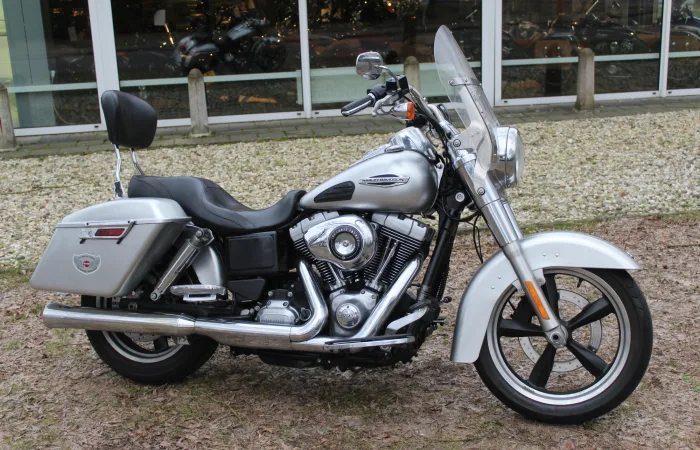 DS Dyna Switchback FLD Dyna Switchback (2012) — foto 1