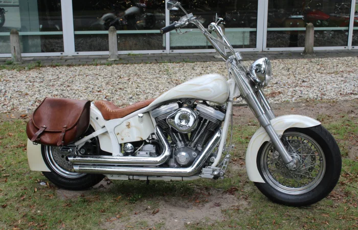 Harley-Davidson Heritage Flst Special (0) — foto 1