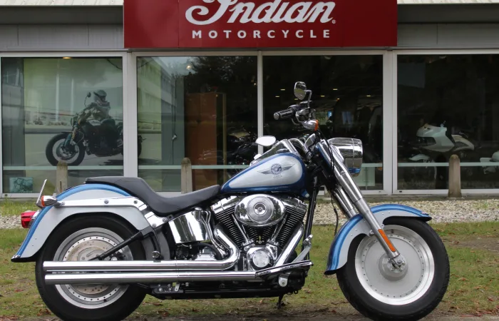 Harley-Davidson Softail (2000) — foto 1