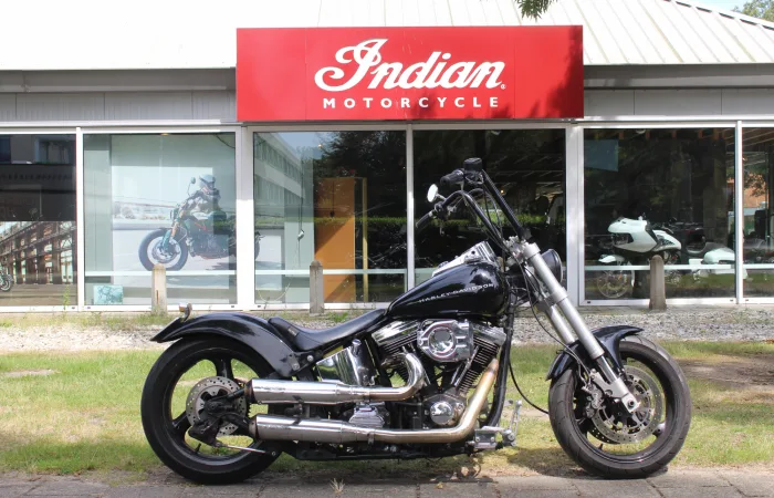 Harley-Davidson Softail (1999) — foto 1