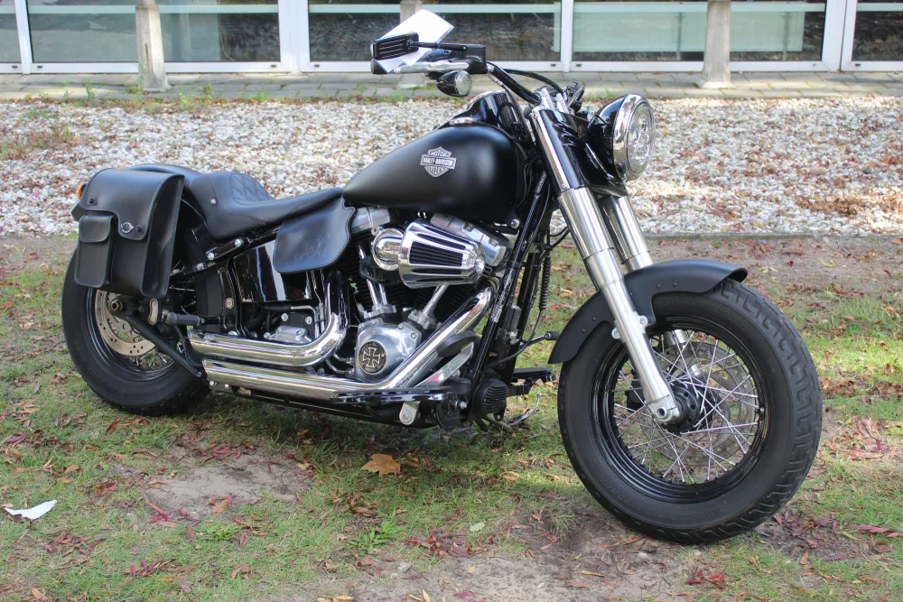 Harley-Davidson Softail (2016) — foto 1