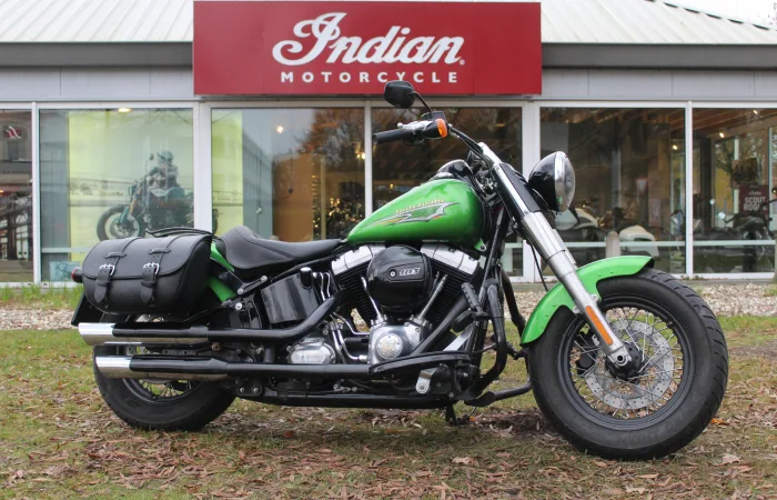 Harley-Davidson Softail (2016) — foto 1