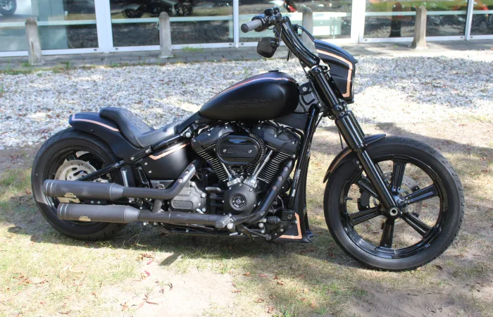 Harley-Davidson Softail (2023) — foto 1