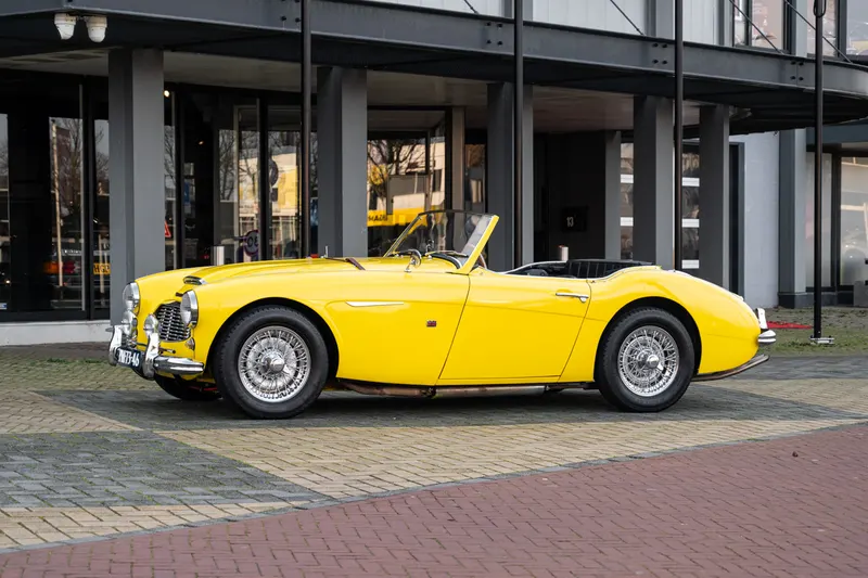 Austin Healey 100 (1957)
