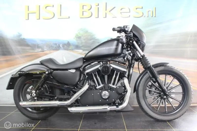 Harley-Davidson XL 883N Sportster Iron (2010)