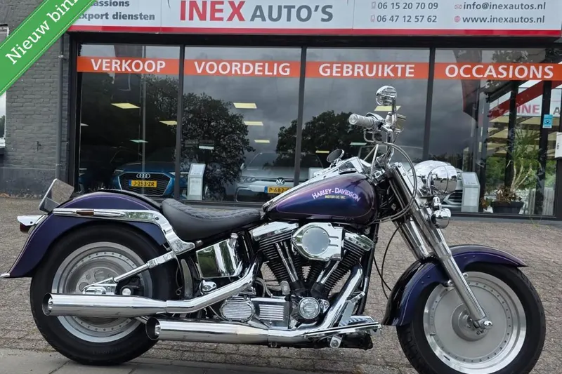 Harley-Davidson FLSTF (1994)