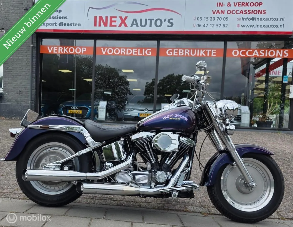 Harley-Davidson FLSTF (1994) — foto 1