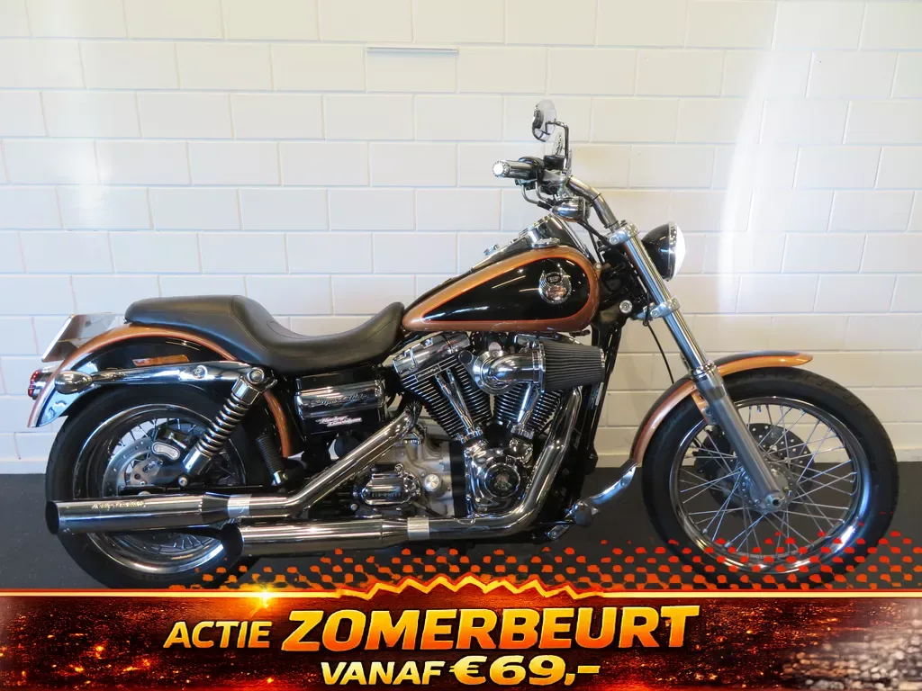 Harley-Davidson Super Glide FXDC DYNA SCREMING (2009) — foto 1