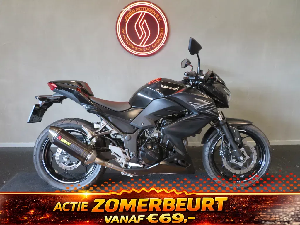 Kawasaki Z300 (2016) — foto 1