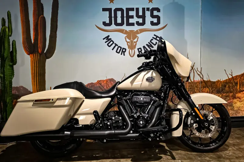Harley-Davidson FLHXS Touring (2022)