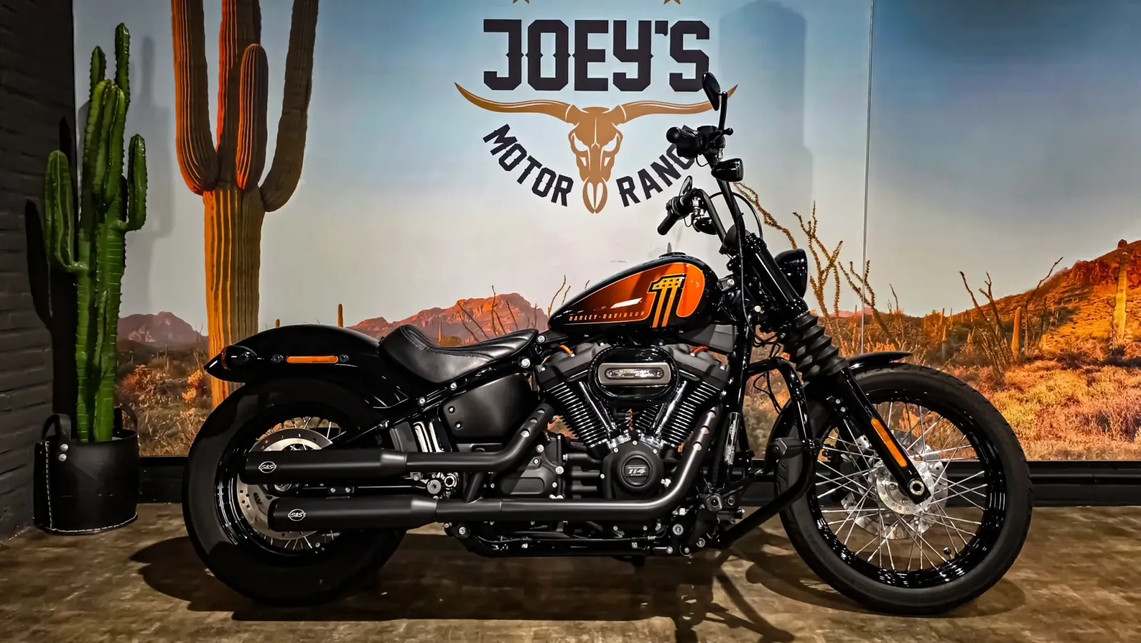 Harley-Davidson Softail (2021) — foto 1