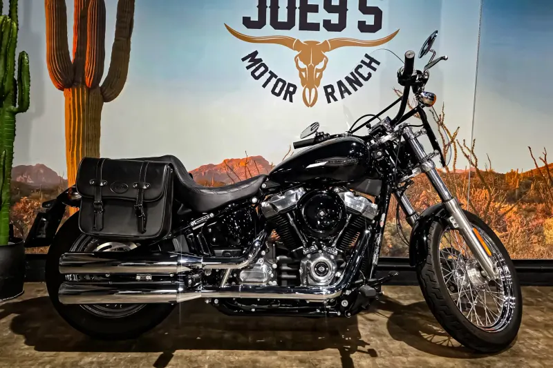 Harley-Davidson Softail Standard (2021)