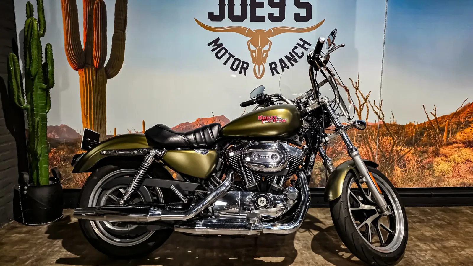 Harley-Davidson Sportser Superlow Sportster (2016) — foto 1