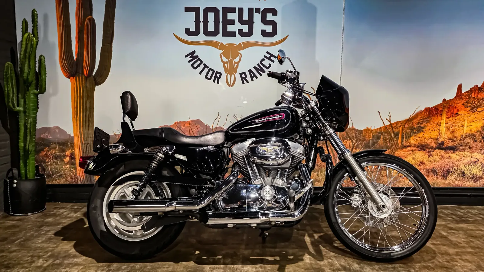 Harley-Davidson Custom 883 Sportster (2010) — foto 1
