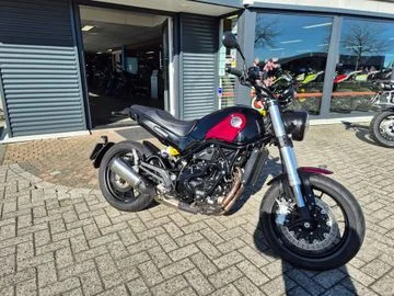 BENELLI LEONCINO 500 (2024) — foto 1