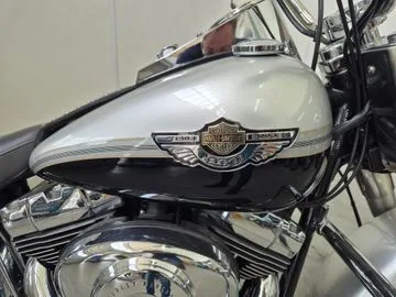 Harley-Davidson Heritage Softail Classic (2003) — foto 1