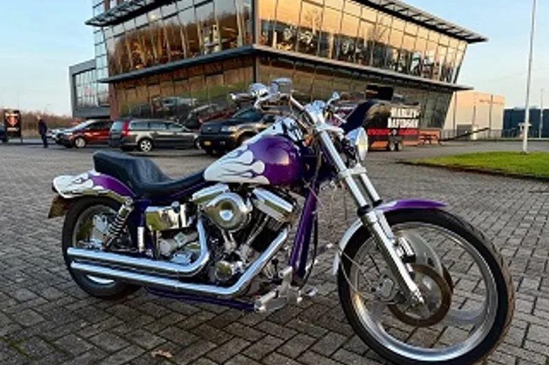 Harley-Davidson BIG DOG SPECIAL 1450 (1997)